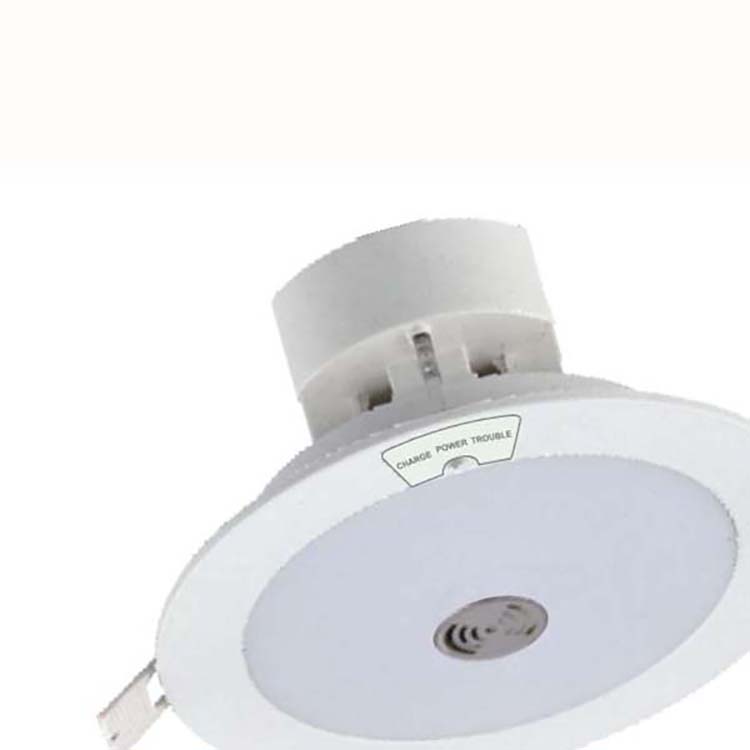 CHINA EMERGENCY LIGHT DSW1153