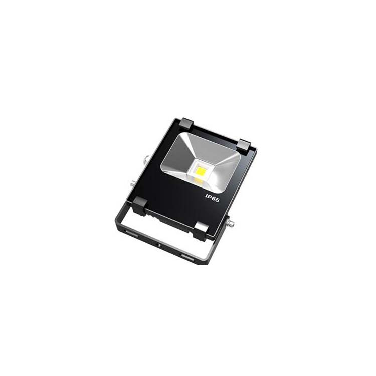 EMERGENCY-LIGHT-DSW-TG001-P010X-A